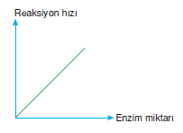 reaksiyon_hizi