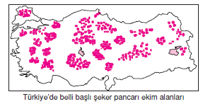 seker_pancari_uretim_haritasi