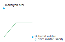 substrat_miktari