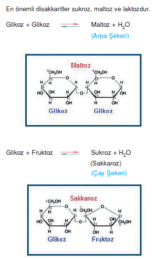 sukroz