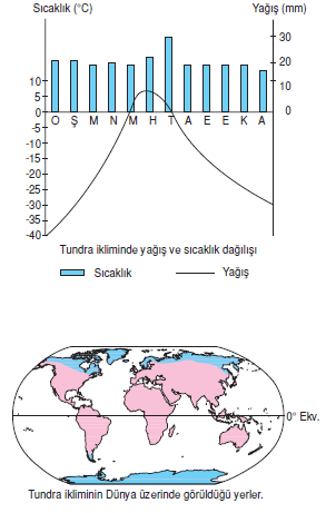 tundra_iklimi