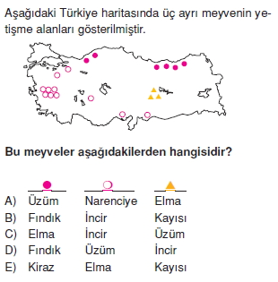 turkiyede_tarim_yerlesme_hayvancilik_balikcilik_cozumlu_test011