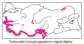 turuncgil_dagilimi