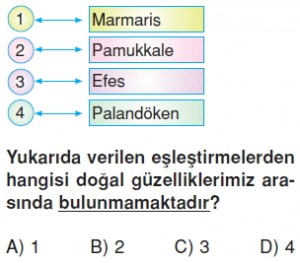 Ülkemizinckaynaklarikonutesti2005