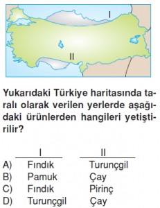 Ülkemizinckaynaklarikonutesti5002