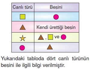 İnsanvecevrecözümlütest1004