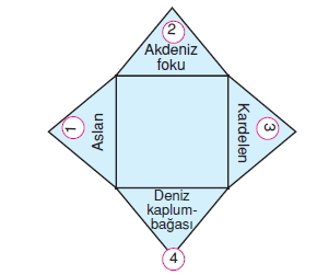 İnsanvecevrecözümlütest1006