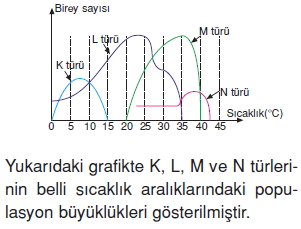 İnsanvecevrecözümlütest1008