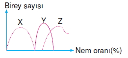 İnsanvecevrecözümlütest1011