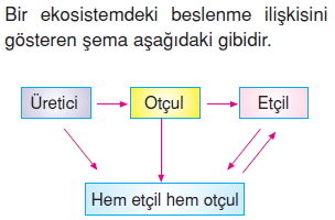 İnsanvecevrecözümlütest1013