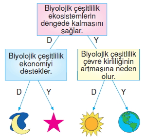 İnsanvecevrecözümlütest1015