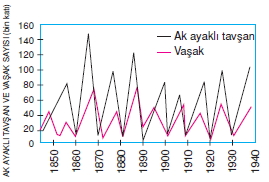 İnsanvecevrekonutesti1001