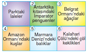 İnsanvecevrekonutesti1002