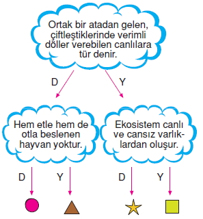 İnsanvecevrekonutesti1003