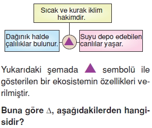 İnsanvecevrekonutesti1006