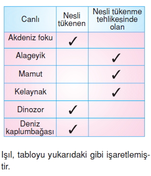 İnsanvecevrekonutesti3001