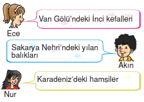 İnsanvecevrekonutesti4003