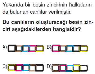 İnsanvecevrekonutesti4005