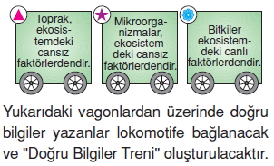 İnsanvecevrekonutesti4008