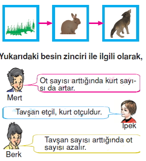 İnsanvecevrekonutesti4012