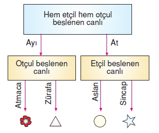 İnsanvecevrekonutesti5001