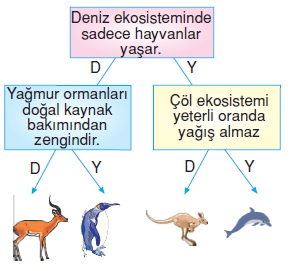 İnsanvecevrekonutesti5006