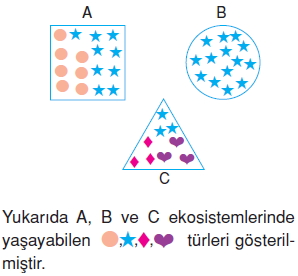 İnsanvecevrekonutesti5007