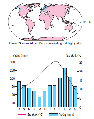 ılıman_okyanus_iklimi