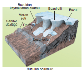 Buzulun_bolumleri