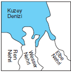 Halicli_kiyi