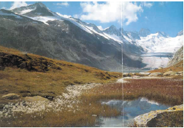 Tundra_İklimi