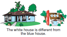 blue_house