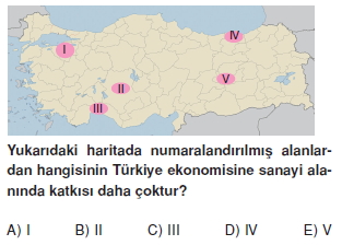 turkiyede_sanayi_cozumlu_testi_011