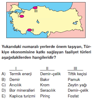 turkiyede_sanayi_cozumlu_testi_013