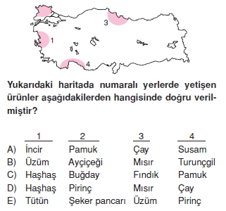 turkiyede_tarim_yerlesme_hayvancilik_balikcilik_konu_testi_2_005