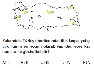 turkiyede_tarim_yerlesme_hayvancilik_balikcilik_konu_testi_2_009