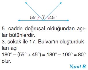 6sinifacilarcozumler_007