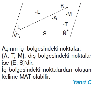 6sinifacilarcozumler_008