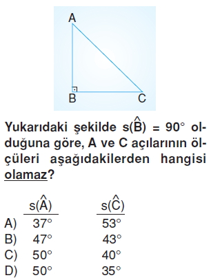 6sinifacilarcozumlutest_004