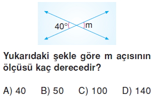 6sinifacilarcozumlutest_005