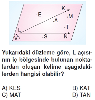 6sinifacilarcozumlutest_008