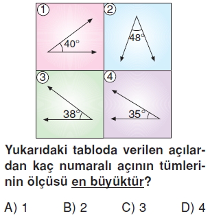 6sinifacilariolcmecozumlutest_002