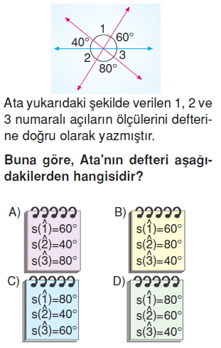 6sinifacilariolcmecozumlutest_009