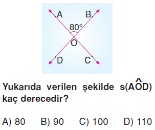 6sinifacilariolcmekonutesti2_009