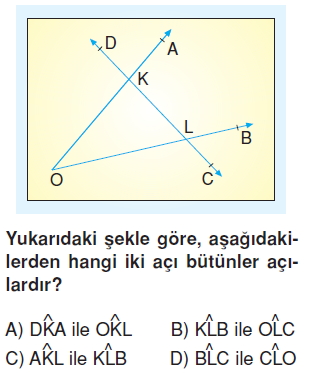 6sinifacilartest4_007