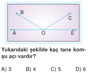 6sinifacilartest4_009