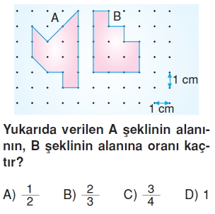 6sinifalaniolcmecozumlutest_005