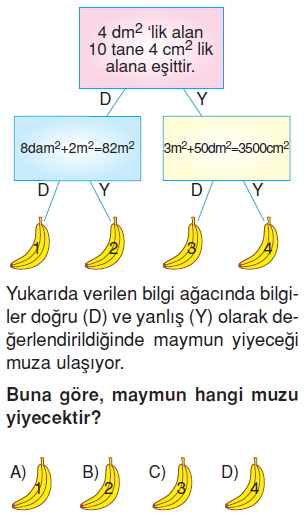 6sinifalaniolcmekonutesti1_004