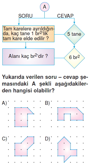 6sinifalaniolcmekonutesti2_001