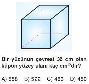 6sinifalaniolcmeprizmalarinalanicozumlutest_005